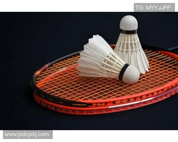 从零基础到高手之路羽毛球灵活性训练全解析与技巧分享