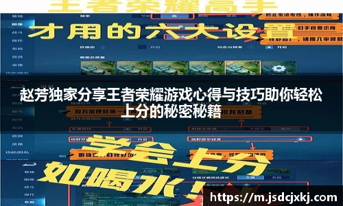 6T体育官方