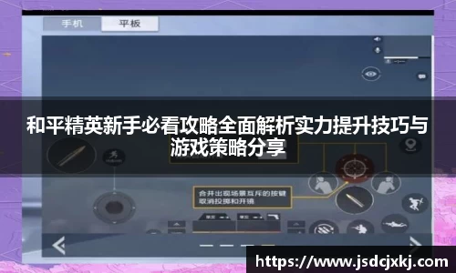 6t体育