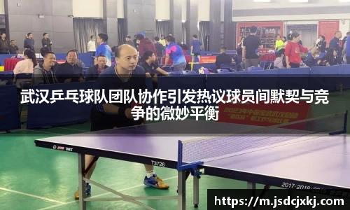 6T体育官方网站入口