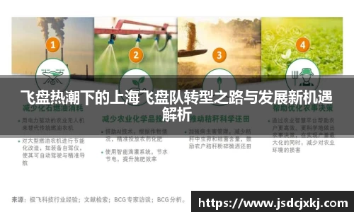 飞盘热潮下的上海飞盘队转型之路与发展新机遇解析